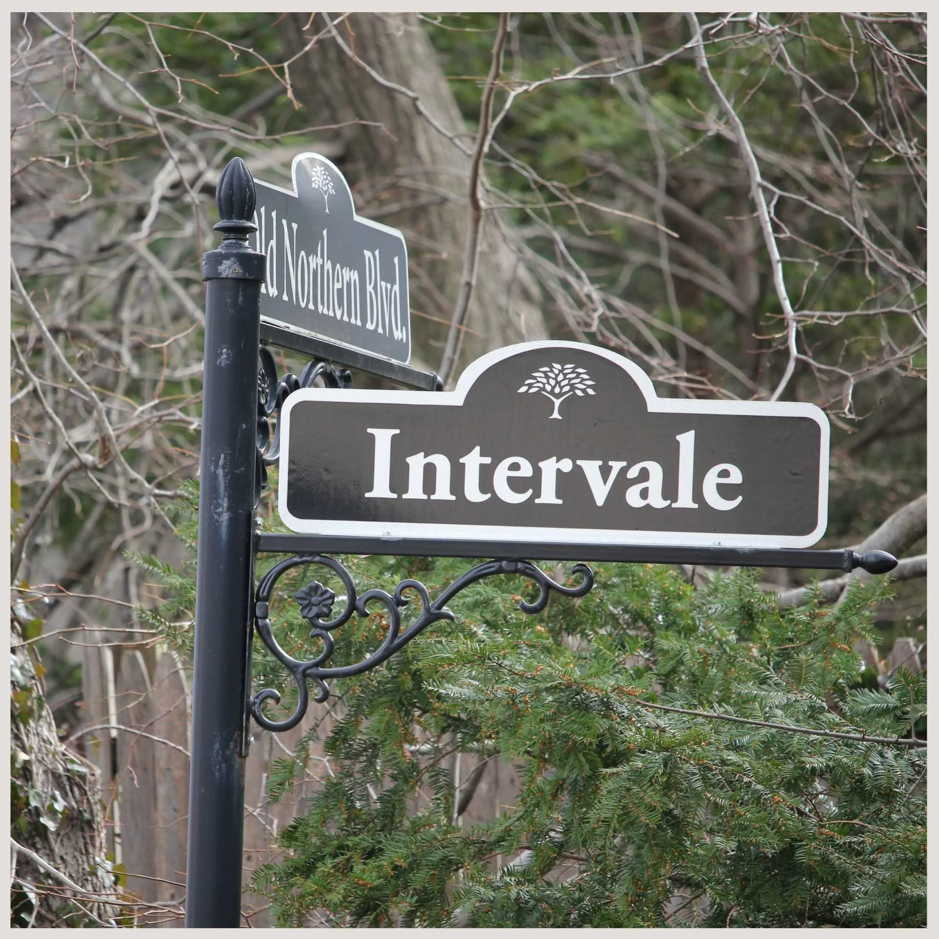 Ornamental Street Signs