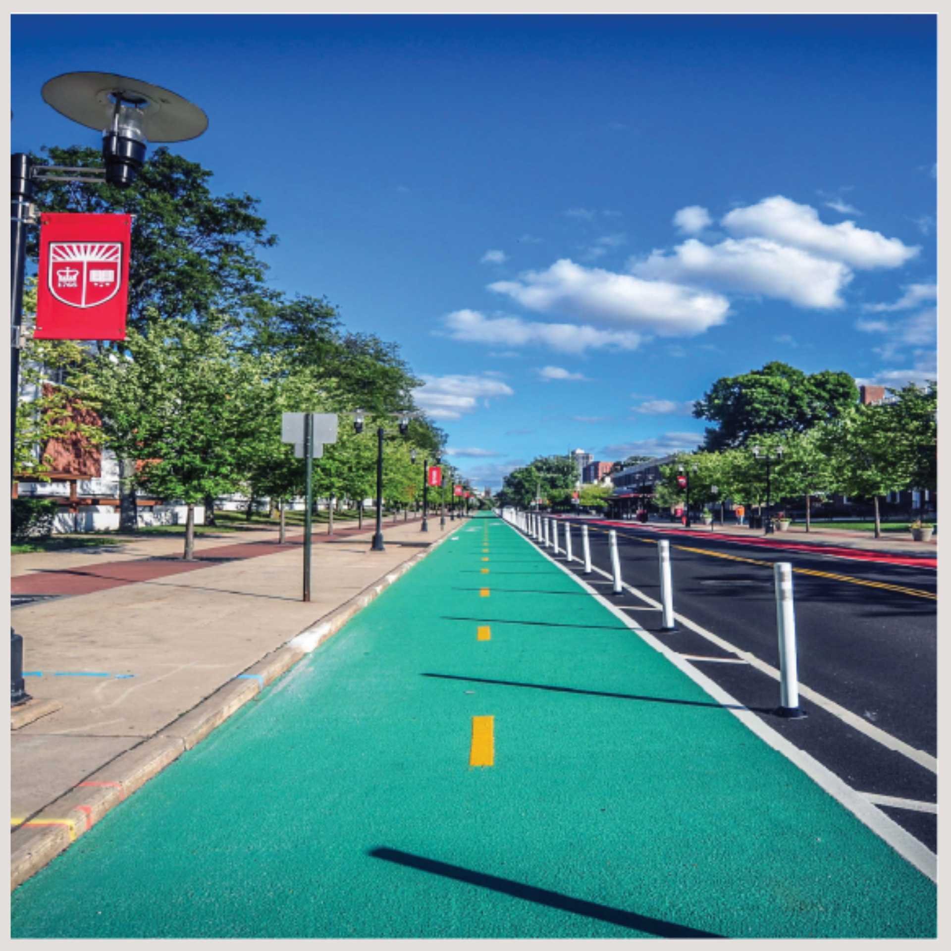 A designated green bike lane is visible on a city street, encouraging cyclists to navigate safely through traffic.