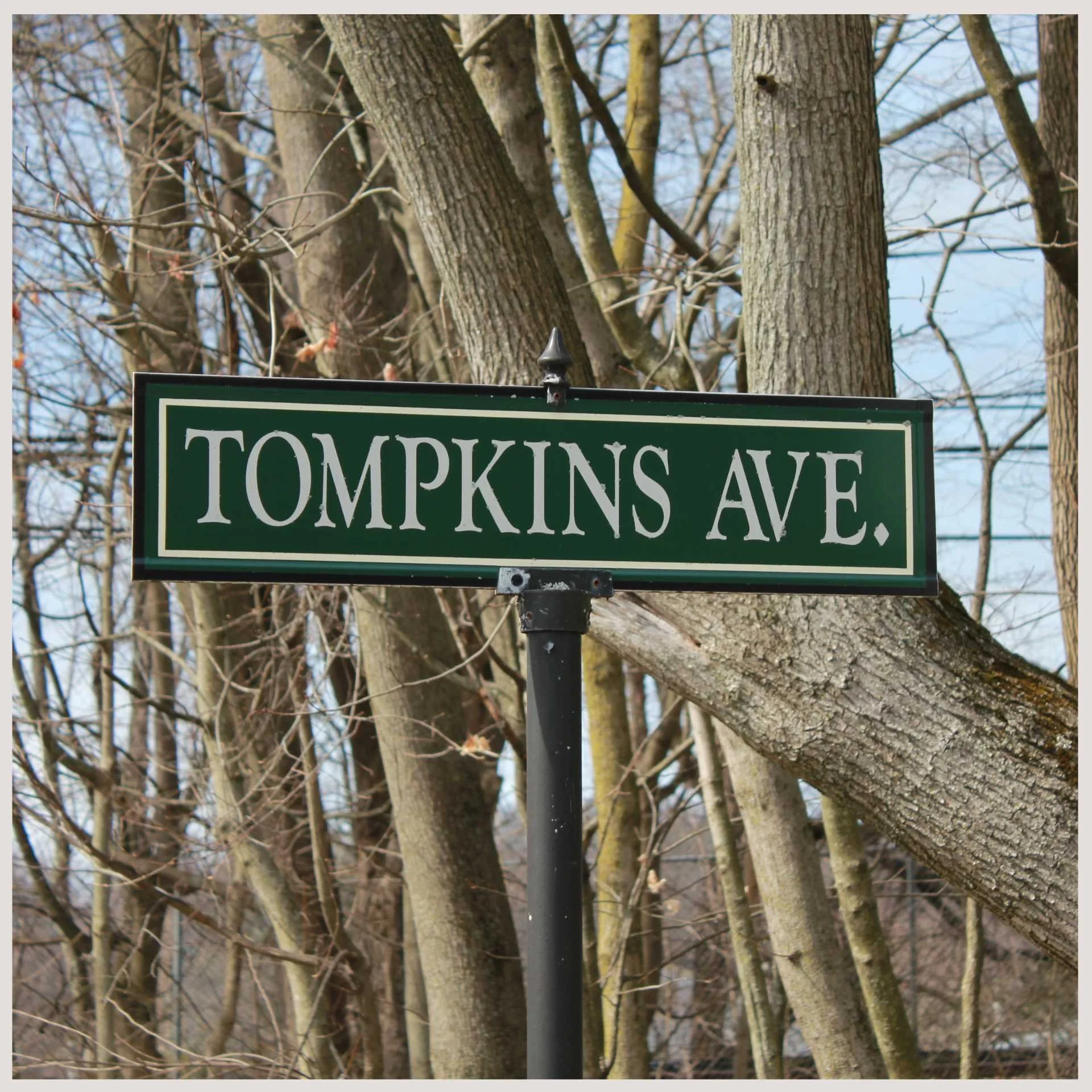 A street sign displaying the name "Tompkins Avenue" prominently on a city road.