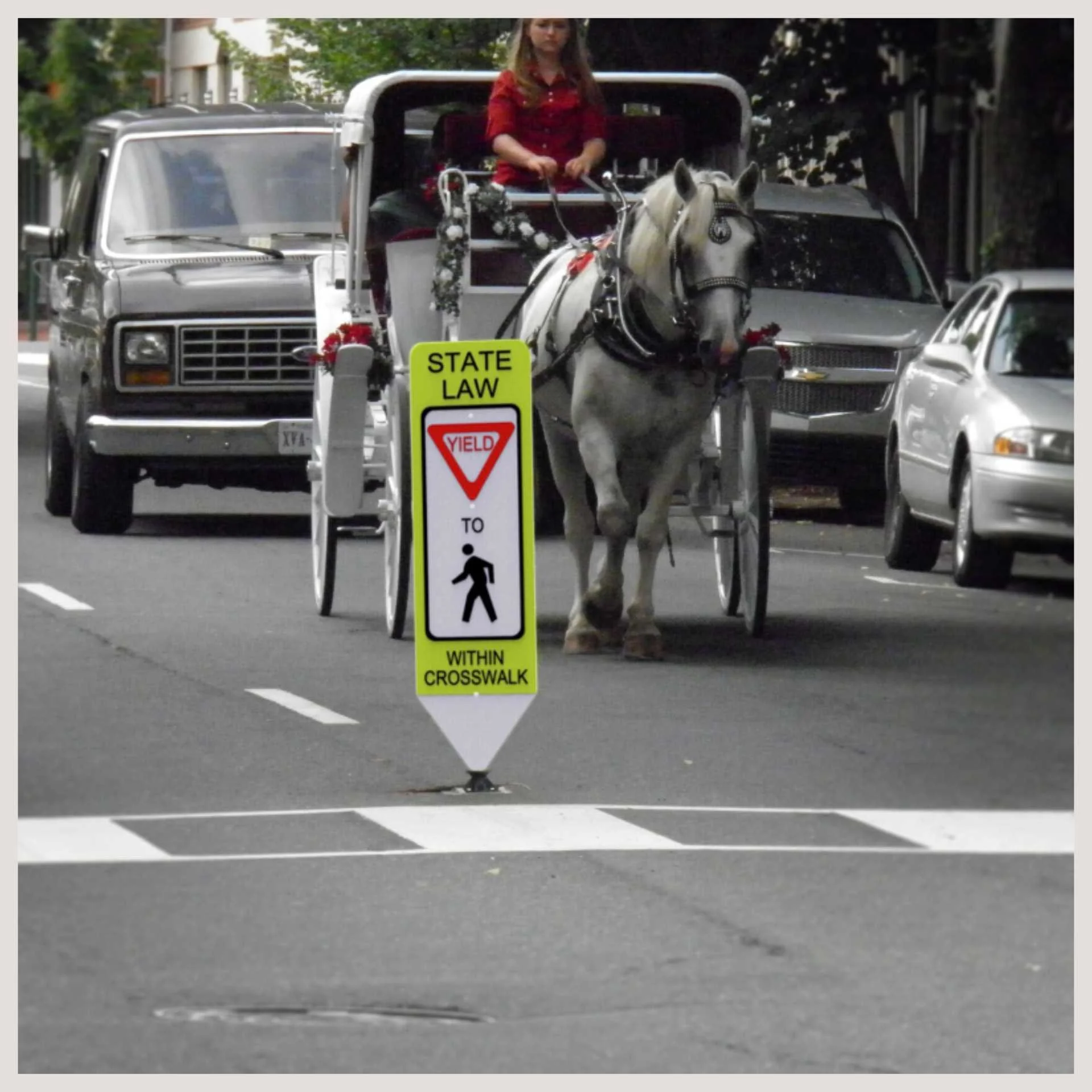 Pedestrian Crossing Signs